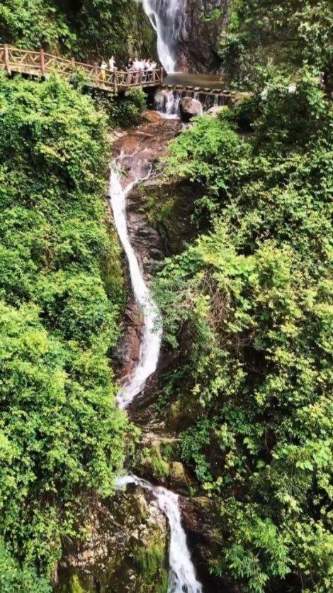 沪江开心词场